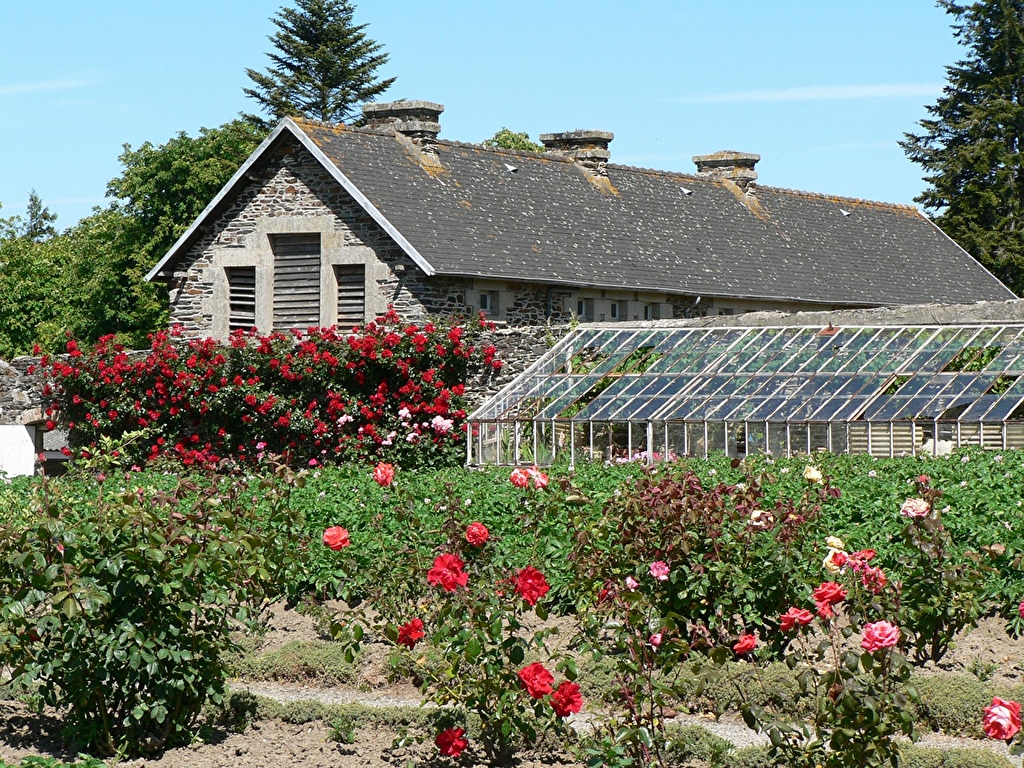 Le jardin en fleur